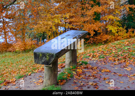 Eine nasse Sitzbank auf dem Gelände von Blenheim Palace im Herbst Stockfoto