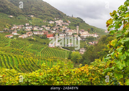 Prosecco Weingut DOCG Unesco Gebiet in Valdobbiadene Treviso Italien Stockfoto