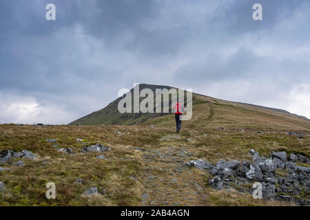 Walker auf Wildschwein fiel, Mallerstang, die in den Yorkshire Dales, England, Großbritannien Stockfoto