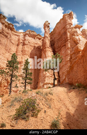 Hoodoo ist im Bryce Canyon, Utah Stockfoto