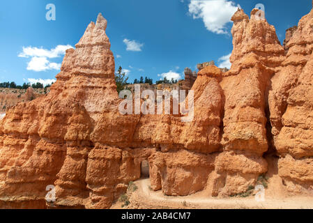 Wanderweg und Hoodoo im Bryce Canyon, Utah Stockfoto