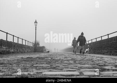 Hund Spaziergänger auf der Promenade am Ogden Wasser Naturschutzgebiet, Halifax, Großbritannien Stockfoto