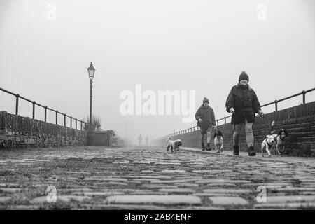 Hund Spaziergänger auf der Promenade am Ogden Wasser Naturschutzgebiet, Halifax, Großbritannien Stockfoto