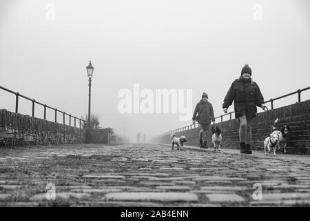 Hund Spaziergänger auf der Promenade am Ogden Wasser Naturschutzgebiet, Halifax, Großbritannien Stockfoto