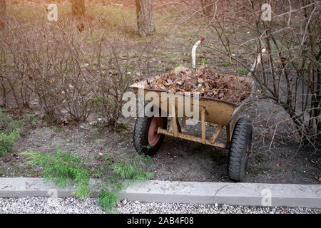 Herbst - Frühling im Garten arbeiten. Schubkarre mit Müll Stockfoto