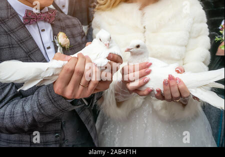 Weiße Tauben in den Händen der Jungvermählten closeup Stockfoto