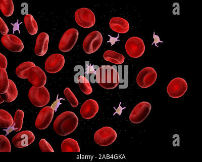 3D-gerenderte Medizinisch genaue Abbildung der menschlichen Blutzellen und Blutplättchen Stockfoto