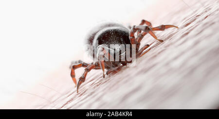 3D-gerenderte Abbildung: die Zecke in die menschliche Haut beißen Stockfoto