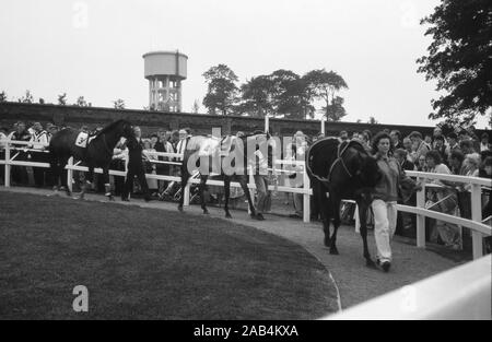 Ein Tag bei Pontefract Rennen, 1992, Bergbau Gemeinschaft zu spielen, West Yorkshire, Nordengland, Großbritannien Stockfoto