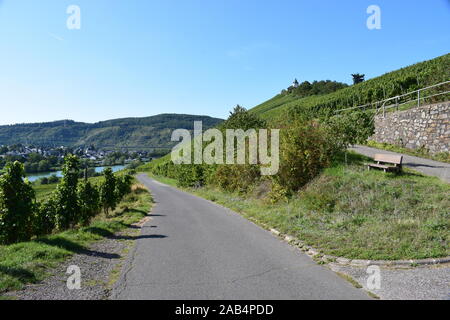 In Mosel Tal in der Nähe von Zell Stockfoto