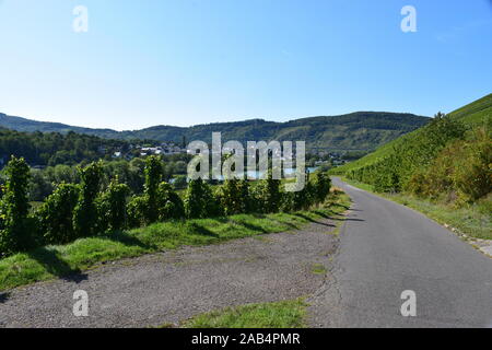 In Mosel Tal in der Nähe von Zell Stockfoto