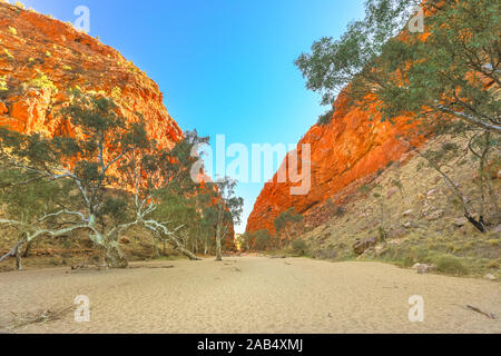 Eukalyptus und Gum Tree im trockenen Flussbett der Simpsons Gap in der australischen Wüste des Red Centre in West MacDonnell Ranges, Northern Territory, Australien. Stockfoto