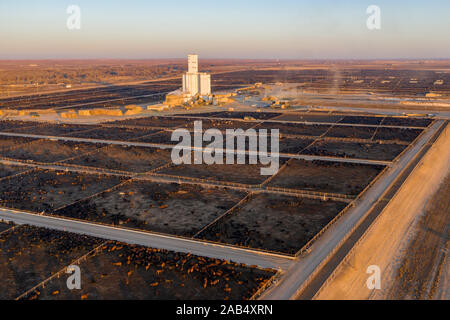 Kersey, Colorado - ein Vieh feedlot durch fünf Flüsse Viehzucht betrieben. Diese Feedlot hat eine Kapazität von 98.000 Rinder. Das Unternehmen versorgt rund eine Million c Stockfoto