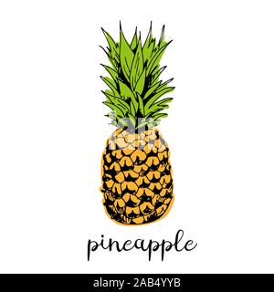 Ananas Vector Illustration auf weißem Hintergrund Stock Vektor