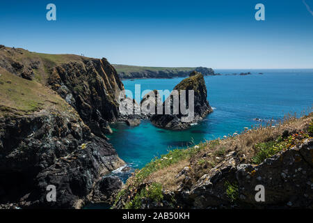 Die malerische und beliebtes Reiseziel von Kynance Cove in Cornwall, die Schöne robuste Cornish Landschaft am besten im Sommer. Stockfoto