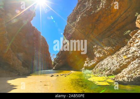 Dauerhafte Wasserloch der Simpsons Gap in West MacDonnell Ranges, Northern Territory am Larapinta Trail im Zentrum von Australien. Beliebte Sehenswürdigkeiten in Stockfoto