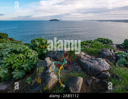 Angeln string Müll von Seevögeln auf Lamm Insel mit Blick auf den Firth-of-Forth, Schottland, UK gesammelt Stockfoto