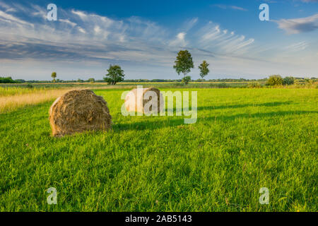 Heuballen liegen auf der grünen Wiese und fantastischen Wolken im Himmel. Nowiny, Polen Stockfoto