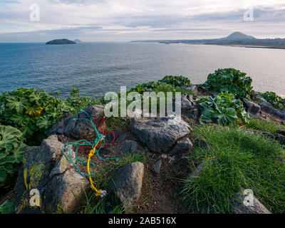 Angeln string Müll von Seevögeln auf Lamm Insel mit Blick auf den Firth-of-Forth, Schottland, UK gesammelt Stockfoto