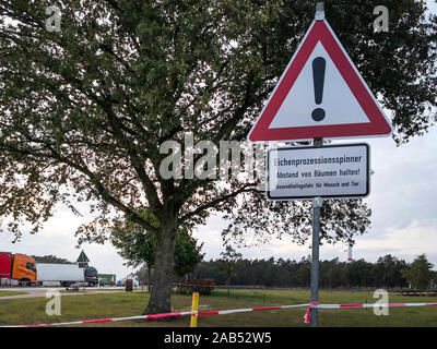 Anmelden mit deutschem Text 'Oak processionary, Bäume! Gefahr für die Gesundheit für Mensch und Tier". Die kleinen giftigen Härchen der Raupen können Stockfoto