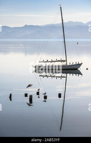 Ein Segelboot am Ohridsee an Peshtani im Norden von Mazedonien, Albanien in der Ferne,Mazedonien, Europa. Stockfoto