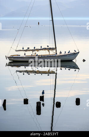 Ein Segelboot am Ohridsee an Peshtani im Norden von Mazedonien, Albanien in der Ferne,Mazedonien, Europa. Stockfoto