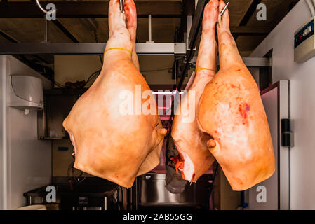 Matera, Italien - 11. März 2019: Schweinefleisch Schinken in einem Trockner aufgehängt. Stockfoto