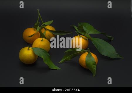 Gruppe von Mandarinen mit Blättern auf dem Tisch Stockfoto