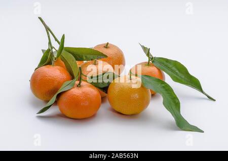 Gruppe von Mandarinen mit Blättern auf dem Tisch Stockfoto