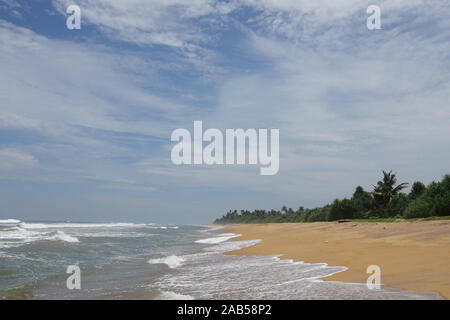 Tropischen Sandstrand in Sri Lanka. Die Küste von Sri Lanka Stockfoto