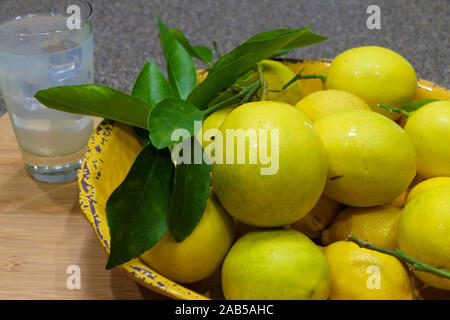 Frische Zitronen aus eigenem Anbau in einem gelben Schüssel Stockfoto