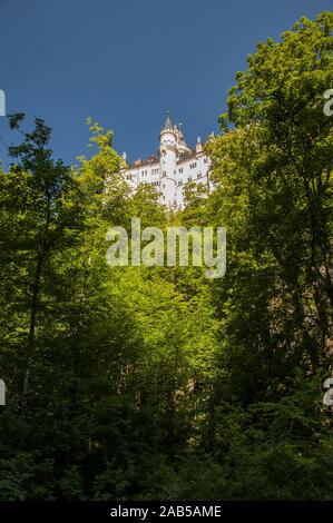 Schloss Neuschwanstein, Schwangau bei Füssen, Schwaben, Bayern, Deutschland, Europa Stockfoto