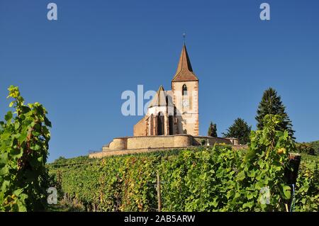 Kirche Saint-Jacques-le-Majeur in den Weinbergen von Hunawihr im Elsass, Frankreich, Europa Stockfoto