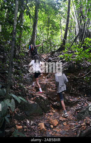 Eine Familie von Touristen klettert einen steilen Weg in den Regenwald in den Khao Sok Nationalpark, Thailand Stockfoto