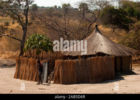 Typische Bauweise bei Caprivi Strip, alle Häuser, die Dach und Wand aus Stroh, Caprivi Strip, Namibia Stockfoto