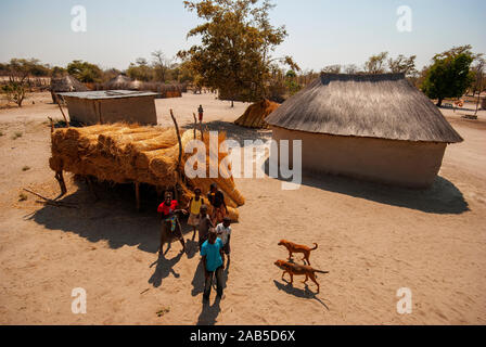 Typische Bauweise bei Caprivi Strip, alle Häuser, die Dach und Wand aus Stroh, Caprivi Strip, Namibia Stockfoto