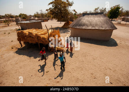 Typische Bauweise bei Caprivi Strip, alle Häuser, die Dach und Wand aus Stroh, Caprivi Strip, Namibia Stockfoto