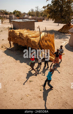 Typische Bauweise bei Caprivi Strip, alle Häuser, die Dach und Wand aus Stroh, Caprivi Strip, Namibia Stockfoto