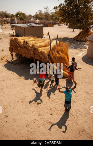 Typische Bauweise bei Caprivi Strip, alle Häuser, die Dach und Wand aus Stroh, Caprivi Strip, Namibia Stockfoto