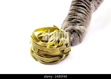 Katze Pfote berührt Italienischer Spinat tagliatelle Nester isoliert. Stockfoto
