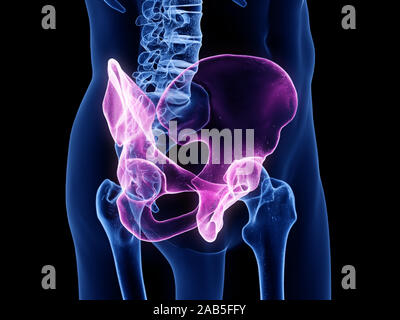 3D-gerenderte medizinisch genauen Abbildung des Ilium Stockfoto