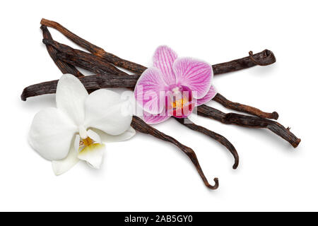 Vanille Sticks mit orchideenblüte auf weißem Hintergrund Stockfoto