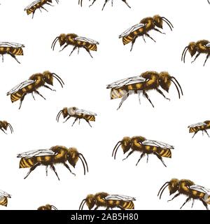 Honey Bee Color Vector nahtlose Muster in Gravur Stil auf weißem Hintergrund Stock Vektor
