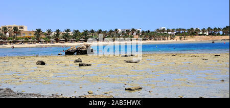 Marsa Alam, Ägypten, Afrika Stockfoto