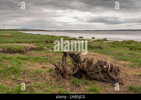 Die Solway Coast, mit Blick auf den Kanal der Fluss Esk in Bowness-on-Solway, Cumbria, England, Großbritannien Stockfoto