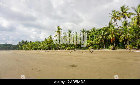 Eine traumhafte Landschaft mit Palmen an der Küste und auf den grauen Wolken im Hintergrund. Bewölkt Tag am Strand. Stockfoto