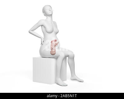 3D-gerenderte medizinisch exakte Darstellung einer schwangeren Frau mit Rückenschmerzen Stockfoto