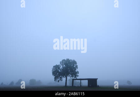 Atmosphärische landwirtschaftliche Landschaft mit brachliegende Feld und ein einsamer Baum neben einer alten rustikalen im dichten Nebel vergossen Stockfoto