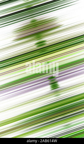 Ein Beispiel für eine schöne abstrakte Linien Stockfoto