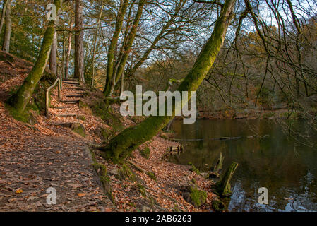 Waggoners Brunnen im Herbst in der Nähe und Grayshott Hindhead, Surrey, Hampshire, England, Großbritannien Stockfoto